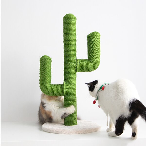 diy cactus cat scratcher